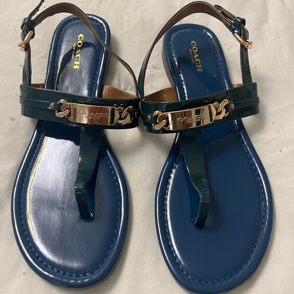 NEW Coach Catherine Blue and Gold Sandals with Chic Thong Design